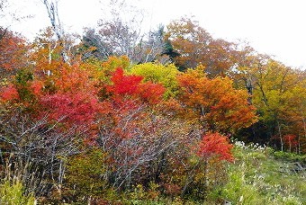 101102naganomori01.jpg